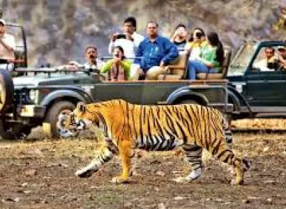 05 Nights & 06 Days Nanital, Kasauni with Jim Corbett Tour Package