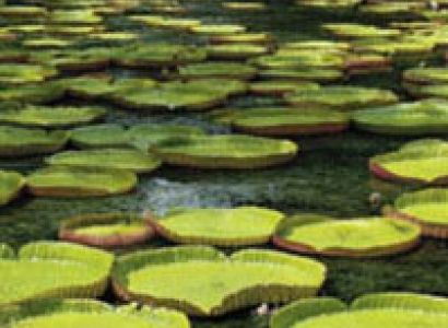 Beautifull - Mauritius Tour