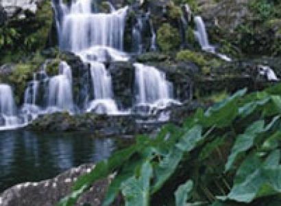 Beautifull - Mauritius Tour