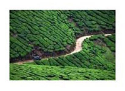 Hill Excursion of South India Tour