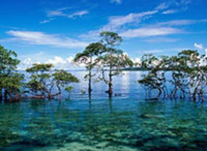 Escape To Andaman Island Port Blair + Havelock Island Tour