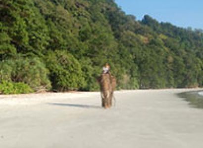 Escape To Andaman Island Port Blair + Havelock Island Tour