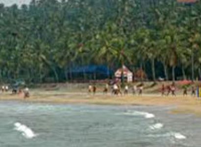 Kerala Dreams - Munnar - Thekkady - Kovalam Tour
