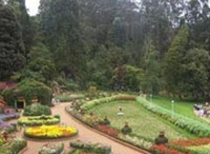 Enchanting Ooty Tour
