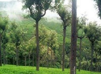 Glimpses of South India Tour