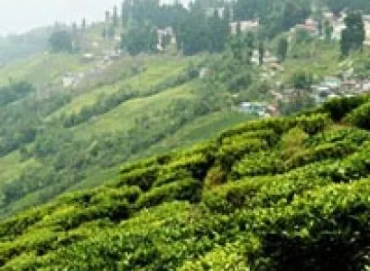 North East Delight with Lachung Tour