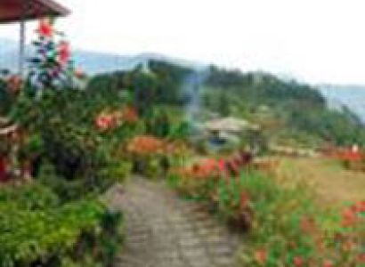 North - East Delight Summer 2013 Tour