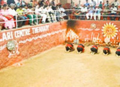 Packages in Thekkady