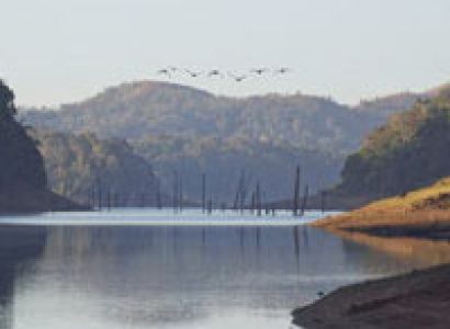 Packages in Thekkady