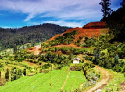 Hills of Southern India with Flights Tour