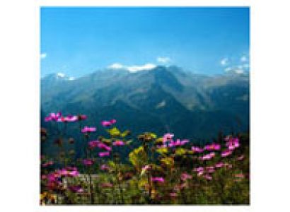 Independence Day Special - Manali Tour