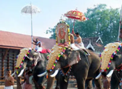Appealing Kerala With Private Vehicle Tour (Flight Inclusive)