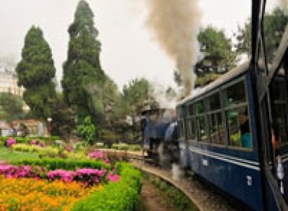 Valentine Special - A Date at the Queen of Hills Tour