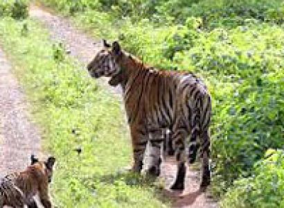 Package Tour To Wonders Of Madhya Pradesh