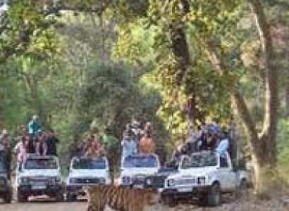 Bandhavgarh