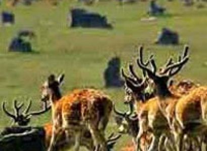 Packages in Chhatarpur