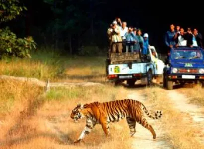 Nainital, Ranikhet & Jim Corbett Trip Tour
