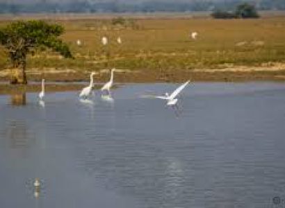 Bhubaneswar With Puri Tour