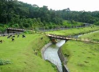 AMAZING MYSORE With COORG TOUR