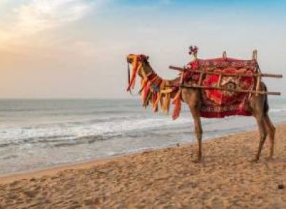 Puri BBSR Chilka Gopalpur 5 Days 4 Nights Tour