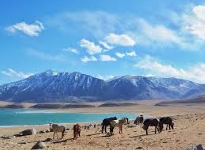 Ladakh Tour 7 Days