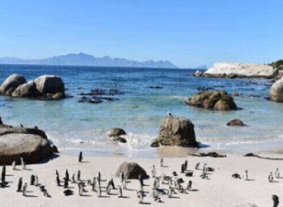 South Africa 5 Night Tour Package