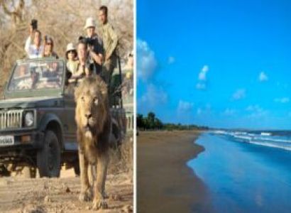 Simply Saurashtra Gujarat 7 Night Tour Package