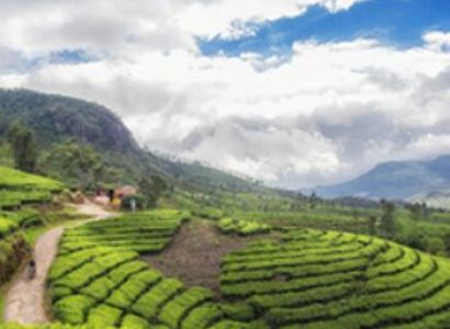 4N 5D Munnar - Thekkady - Alleppey Tour Package
