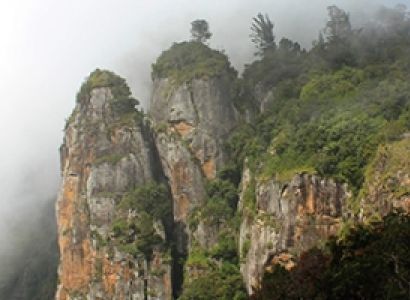 Mysore – Ooty – Kodaikanal Nature Holidays | Tour Packages from Bengaluru