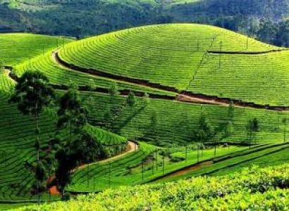 Glorious Kerala Tour