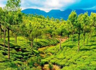 KERALA WITH KANYAKUMARI  TOUR