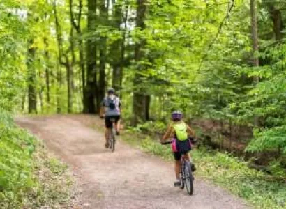 One Day Mountain Biking At Munnar - Kerala Tour