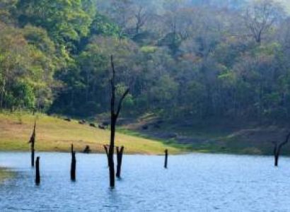 4Night Amazing Kerala Tour