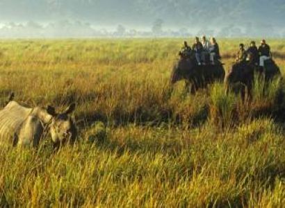 4 Nights - 5 Days Assam Adventure Tour