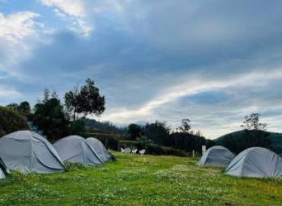 One Day Ooty - Jungle Camping And Adventure Tour
