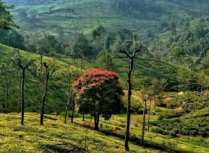 2 Nights 3 Days In Ooty Tour Package
