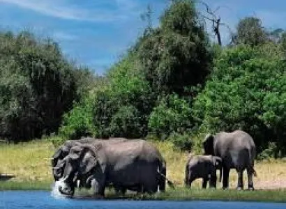 4 Days - 3 Nights Livingstone - Chobe Experience Tour