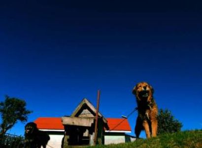 Sandakphu Phalut Tumling