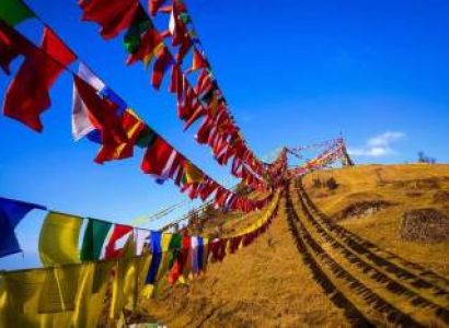 Sandakphu Phalut Tumling