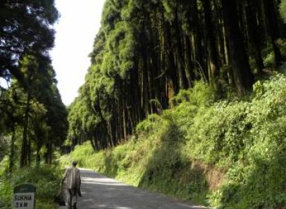Sandakphu Lepchajagat Dhotrey Srikhola