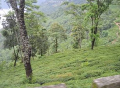 Sandakphu Lepchajagat Dhotrey Srikhola