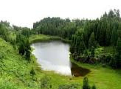 Peshok  Sittong  Darjelling Tour