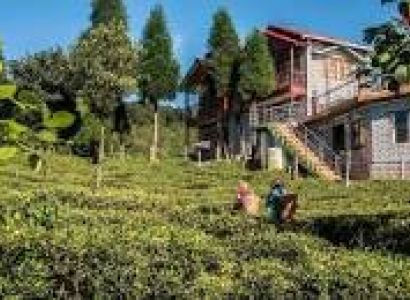 Peshok  Sittong  Darjelling Tour