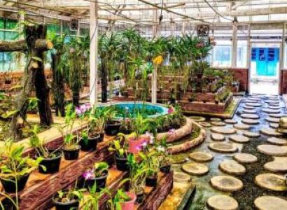 Dirang Tour Packages