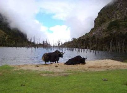 Dirang Tour Packages