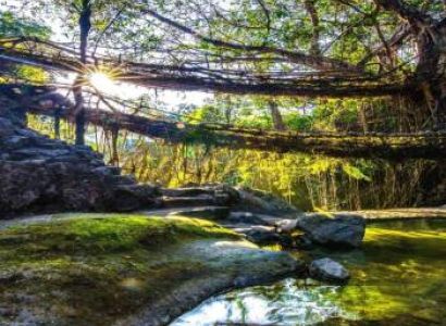 Shillong Cherrapunjee Dwaki Mawlynnong Kaziranga