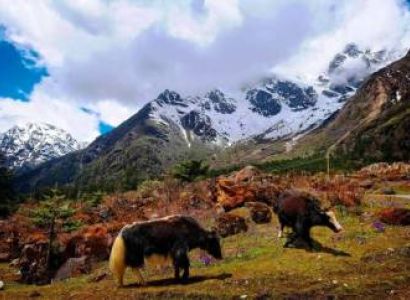 Gurudongmar Yumthung With Gangtok