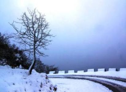 Zuluk Nathang Kupup With Reshikhola (Sikkim Old Silk Route)