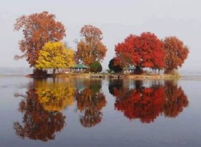 Srinagar Pahalgam Gulmarg Doodthpathri Yashmarg & Aharbal (Jammu & Kashmir)