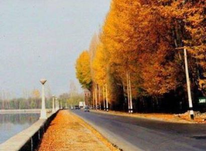 Srinagar Pahalgam Gulmarg Doodthpathri Yashmarg & Aharbal (Jammu & Kashmir)